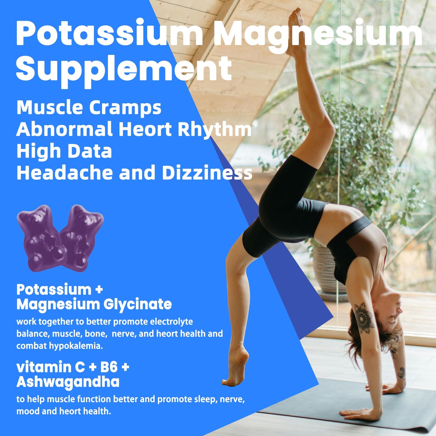 Pets Purest Potassium Magnesium Gummies Blueberry 60 Count