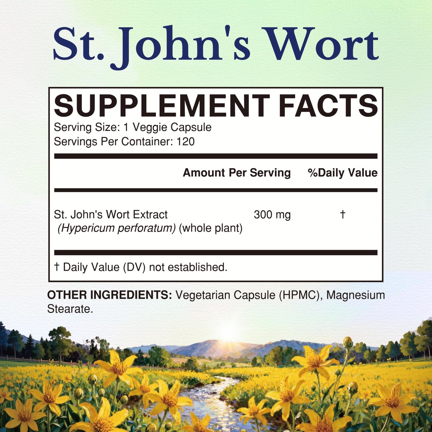 Vitalitown St. John's Wort 300mg Concentrated Herbal Extract Mood & Nerve Health Support Capsules 120