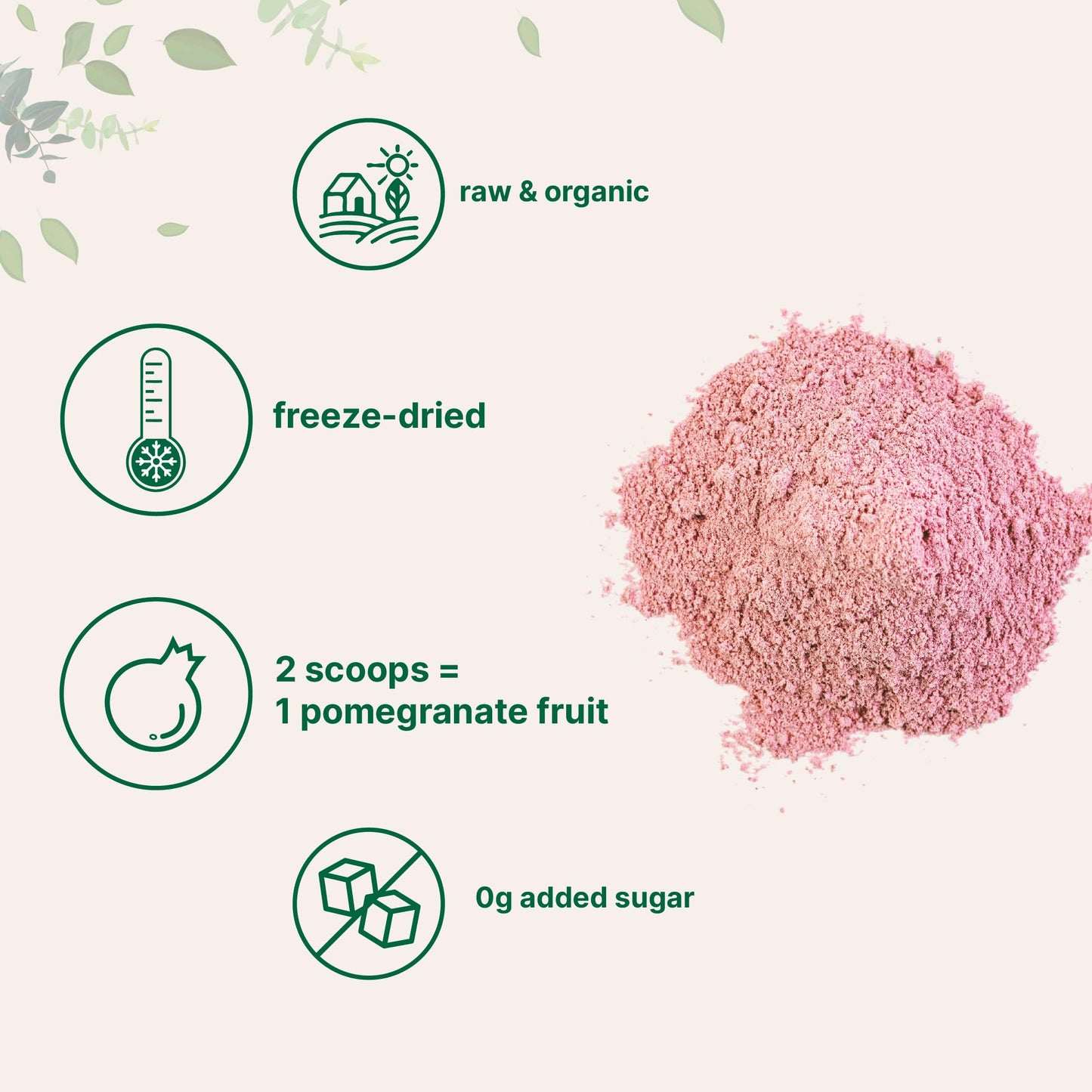 Micro Ingredients Organic Pomegranate Juice Powder 16 oz