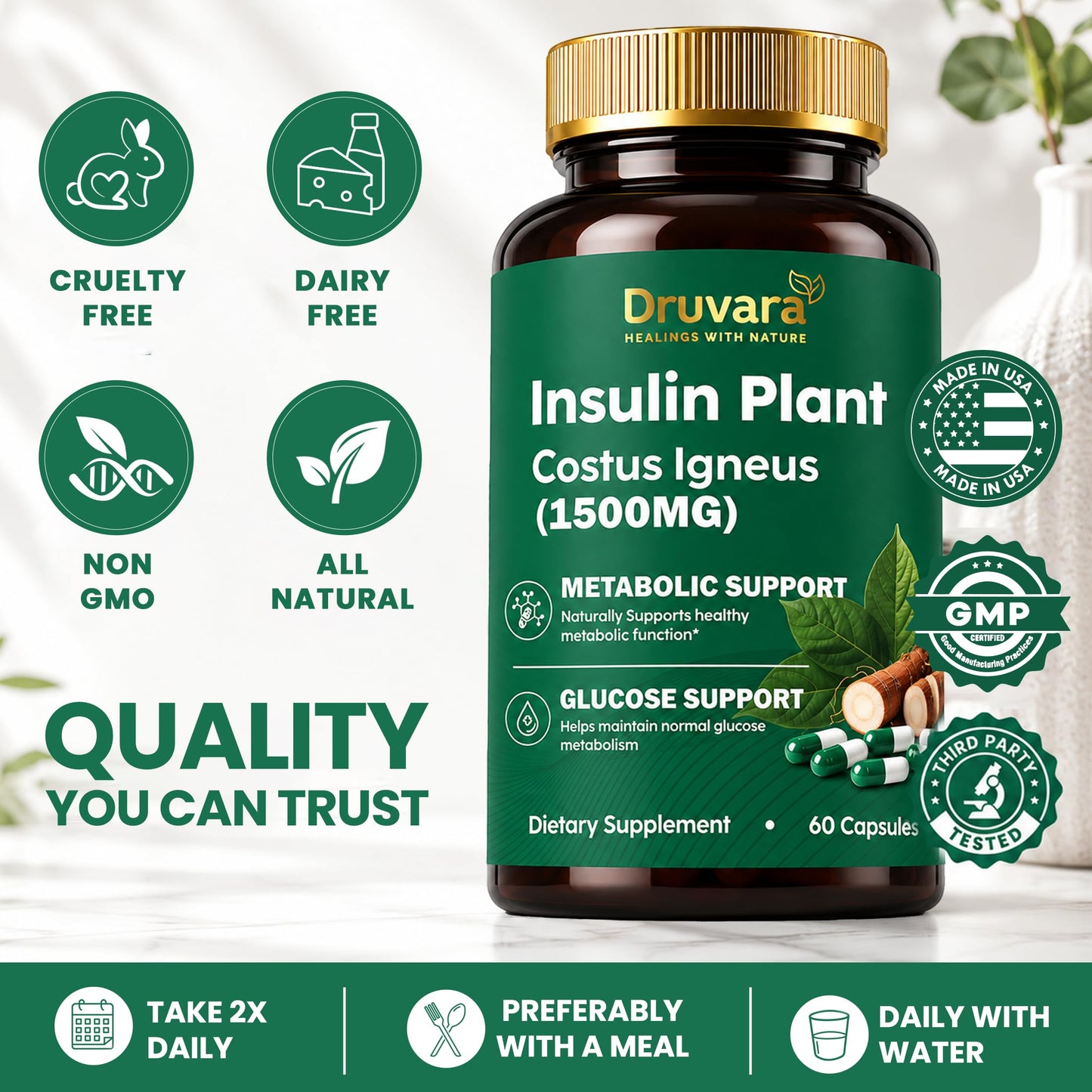 Druvara Insulin Plant Capsules (Costus Igneus), 60 Capsules