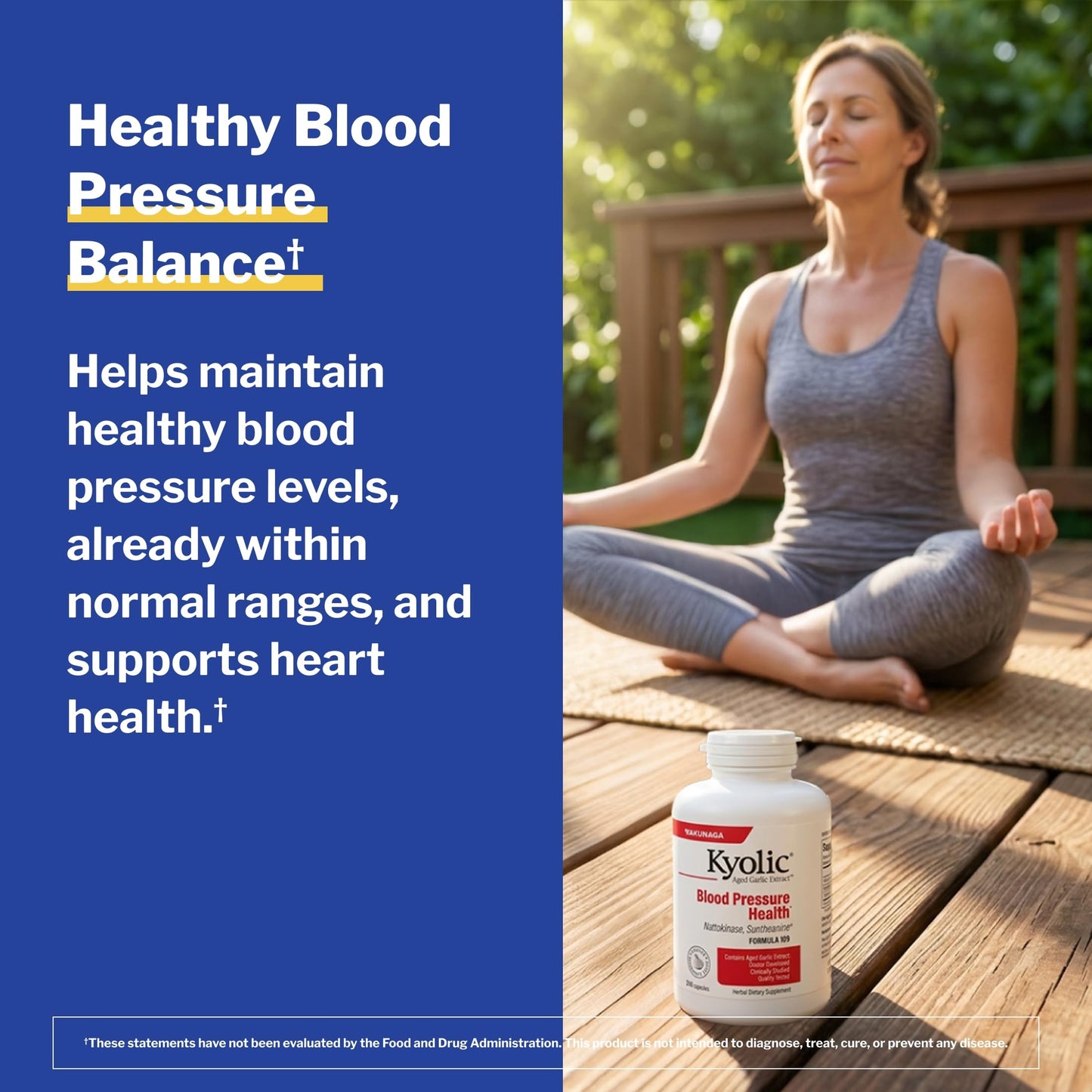 Kyolic Aged Garlic Extract Blood Pressure Health Formula 109 Capsules, 240 Count