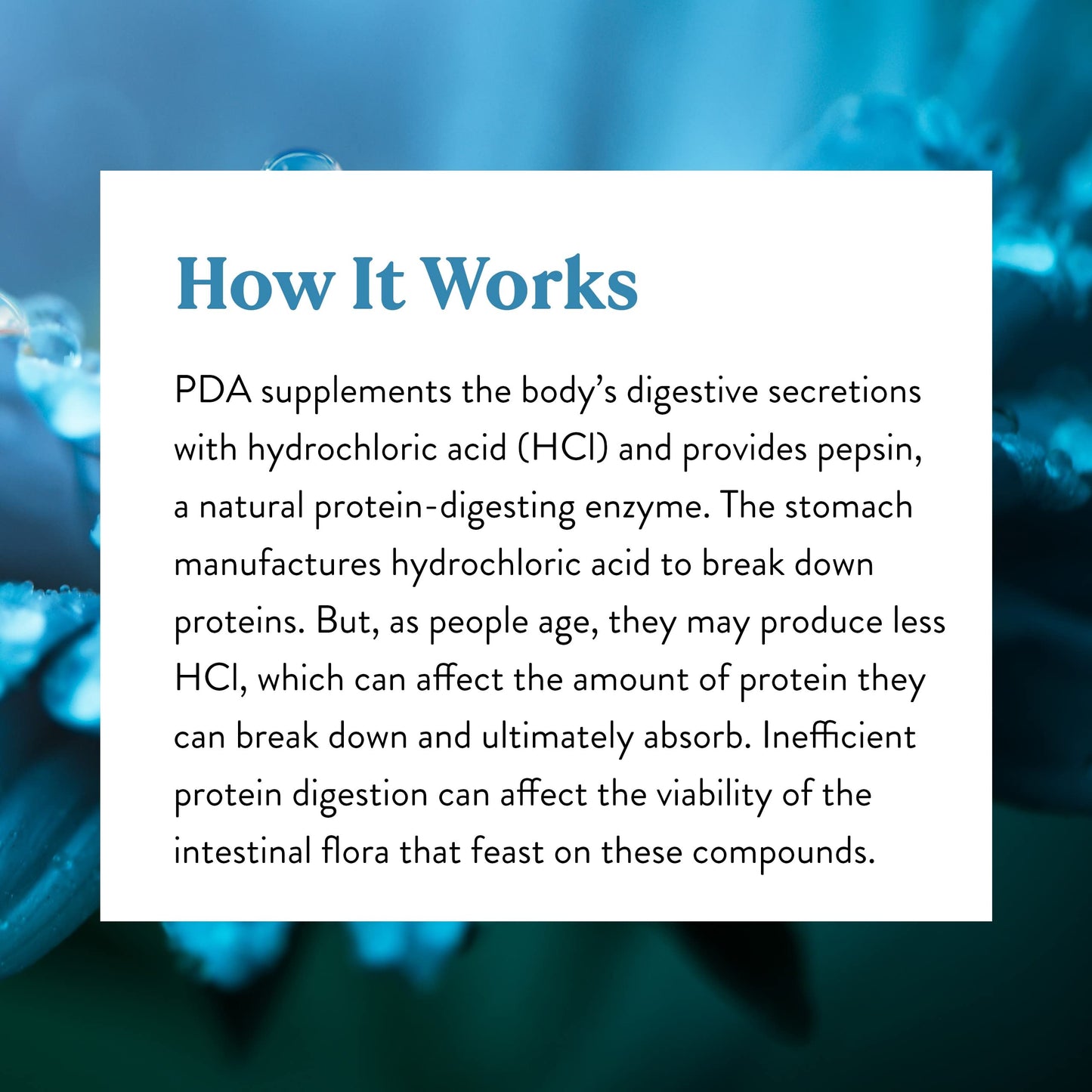 Nature's Sunshine PDA Combination Capsules 180