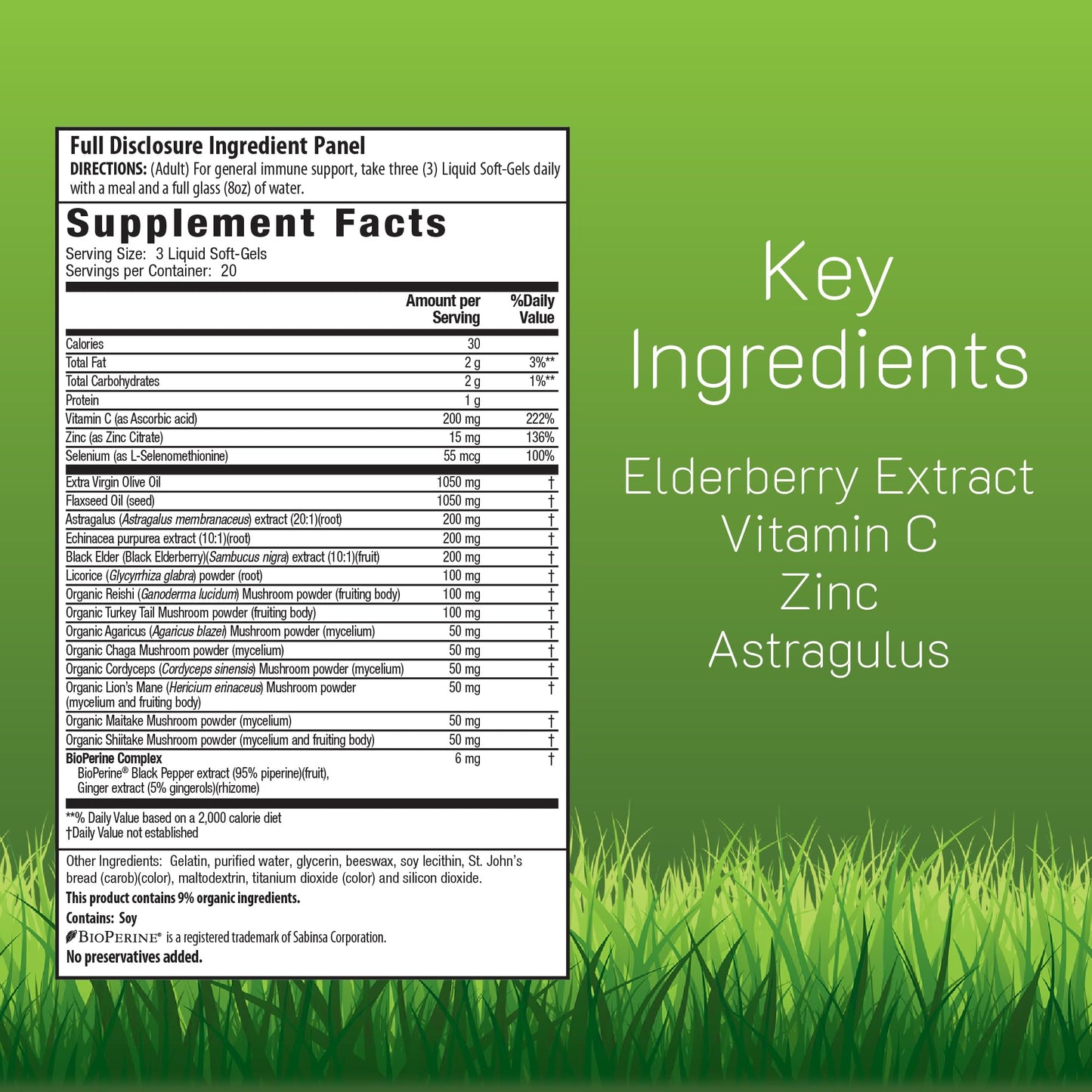 Irwin Naturals Immuno-Shield Elderberry Immune Support Softgels 60