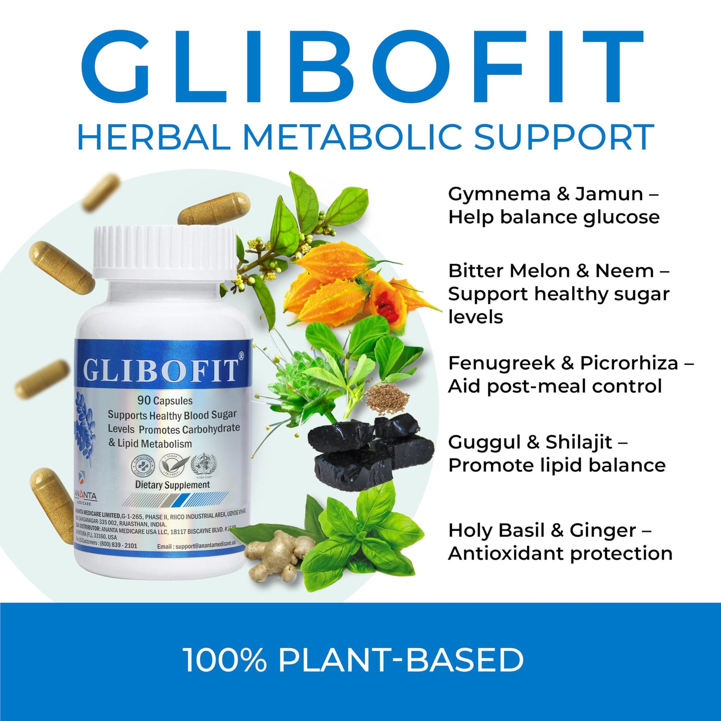 Ananta Medicare USA GLIBOFIT Blood Sugar & Metabolism Support Tablets, 90