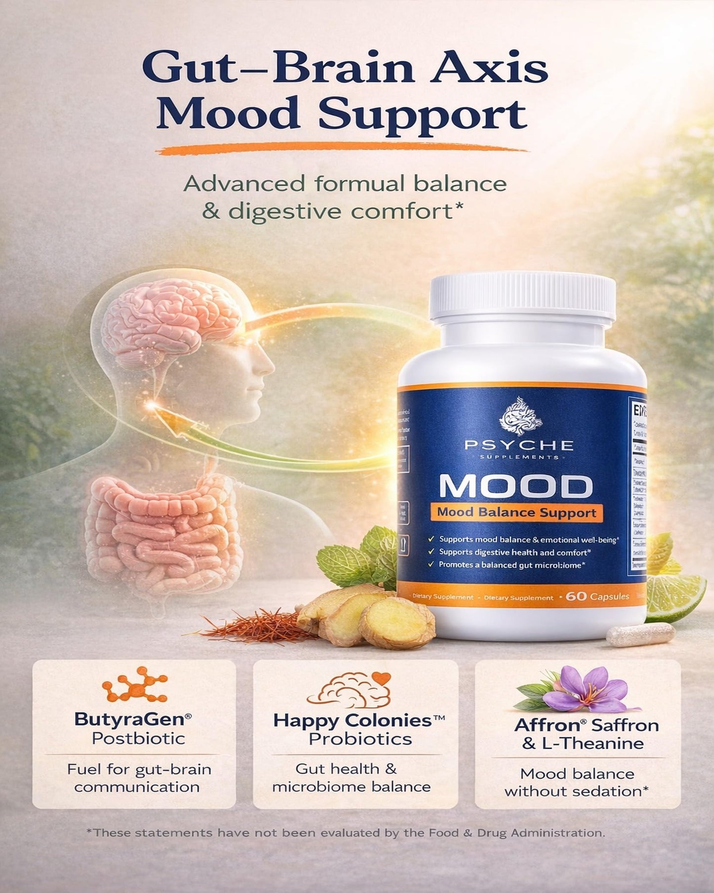 Psyche Supplements Mood Balance Support Supplement Capsule 60 Capsules