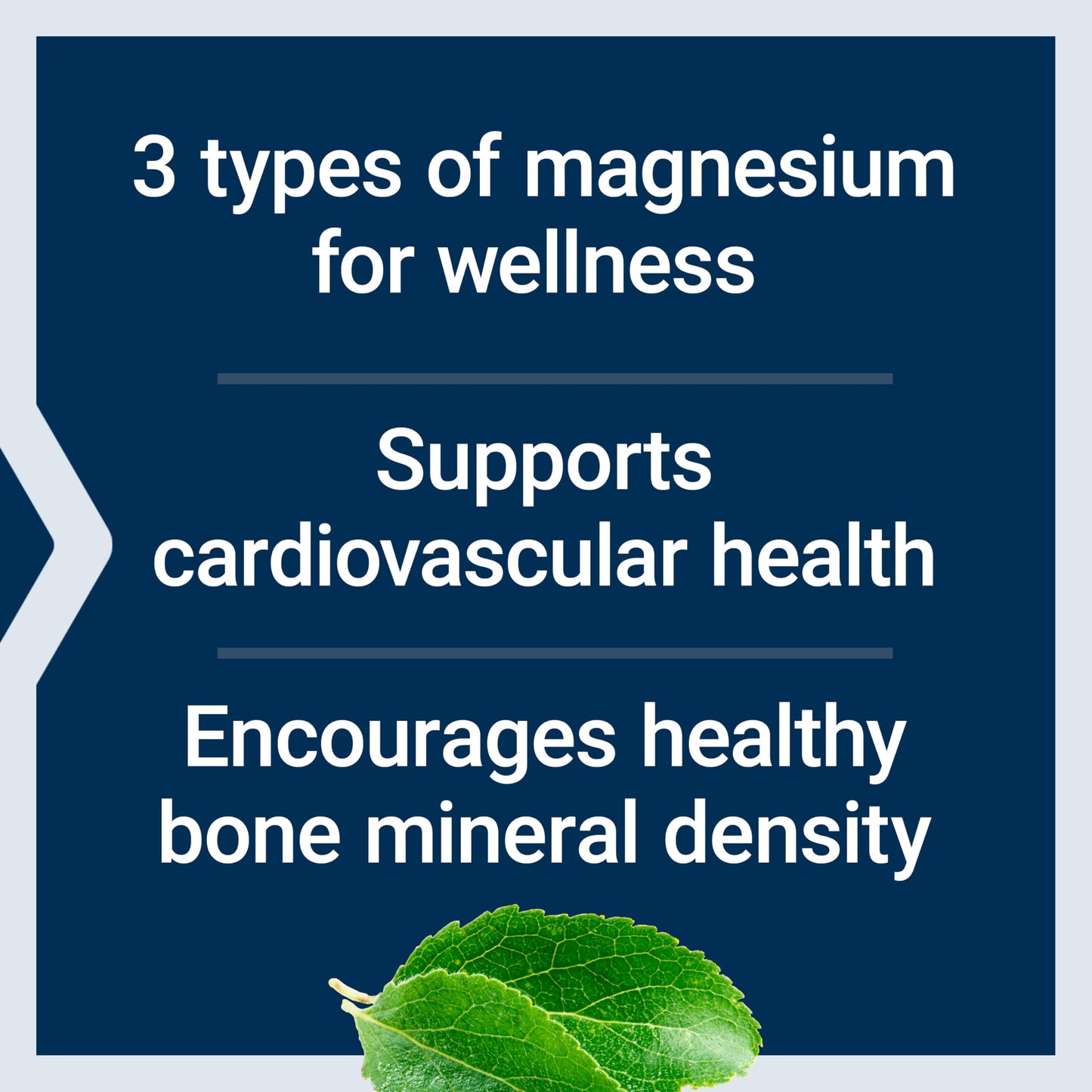 Life Extension Magnesium Capsules 500 mg, Magnesium Oxide, Citrate, and Succinate, Heart Health, Healthy Bones, Metabolism Support, 100 Vegetarian Capsules