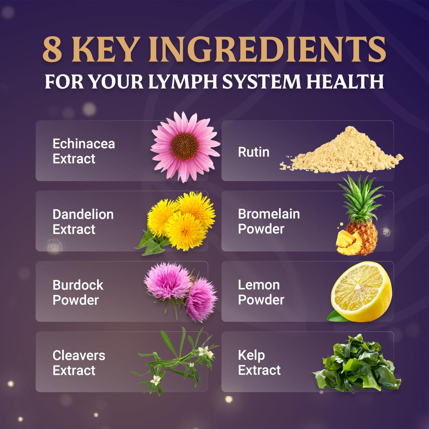 EVERFAITH LymphaFlo Lymphatic Drainage Supplement - Lymph System Support Capsules 60