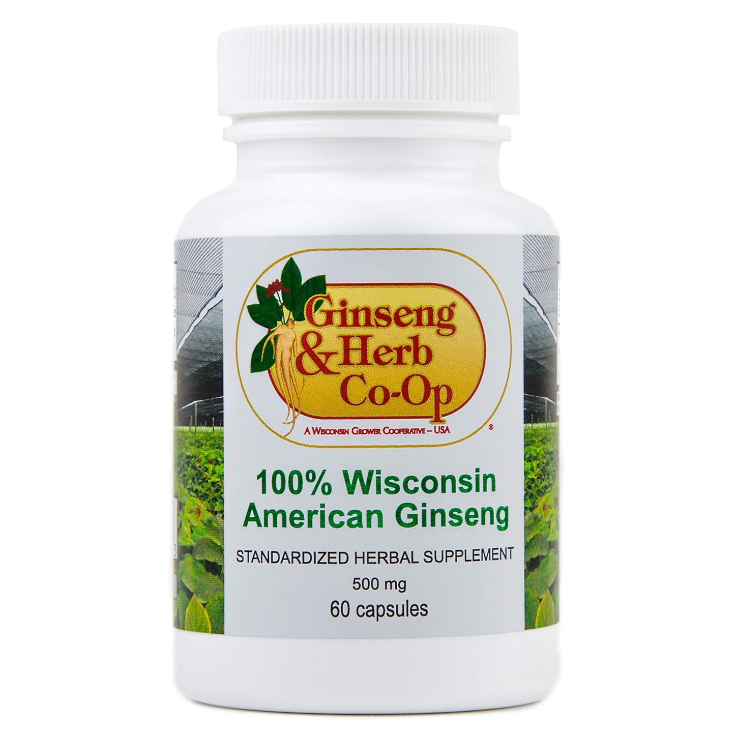GINSENG & HERB CO-OP A WISCONSIN GROWER COOPERATIVE - USA Wisconsin American Ginseng Capsules, 60 Capsules