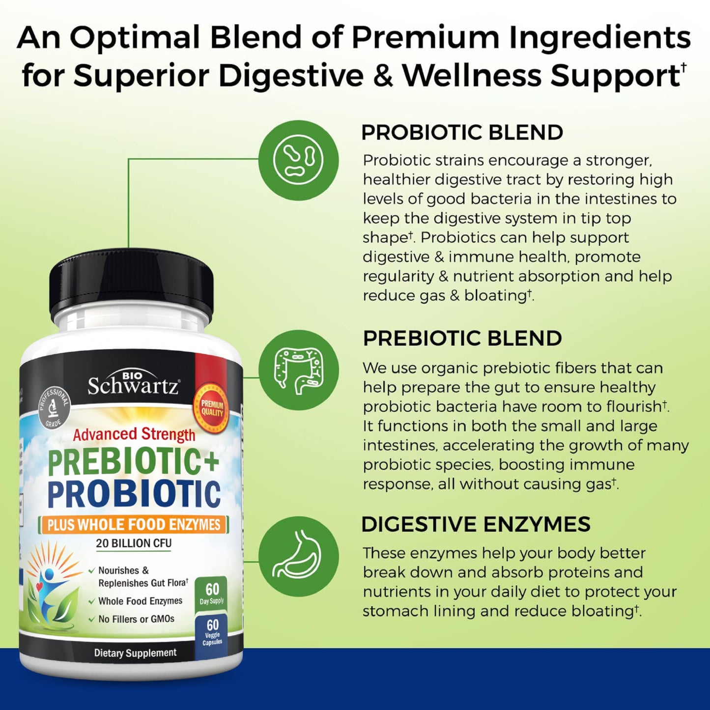 BioSchwartz Advanced Prebiotics and Probiotics for Women & Men, Immune, Digestive & Gut Health with L. Reuteri, Inulin Fiber, Digestive Enzymes, Non-GMO, Gluten-Free, Dairy-Free, 60 Capsules
