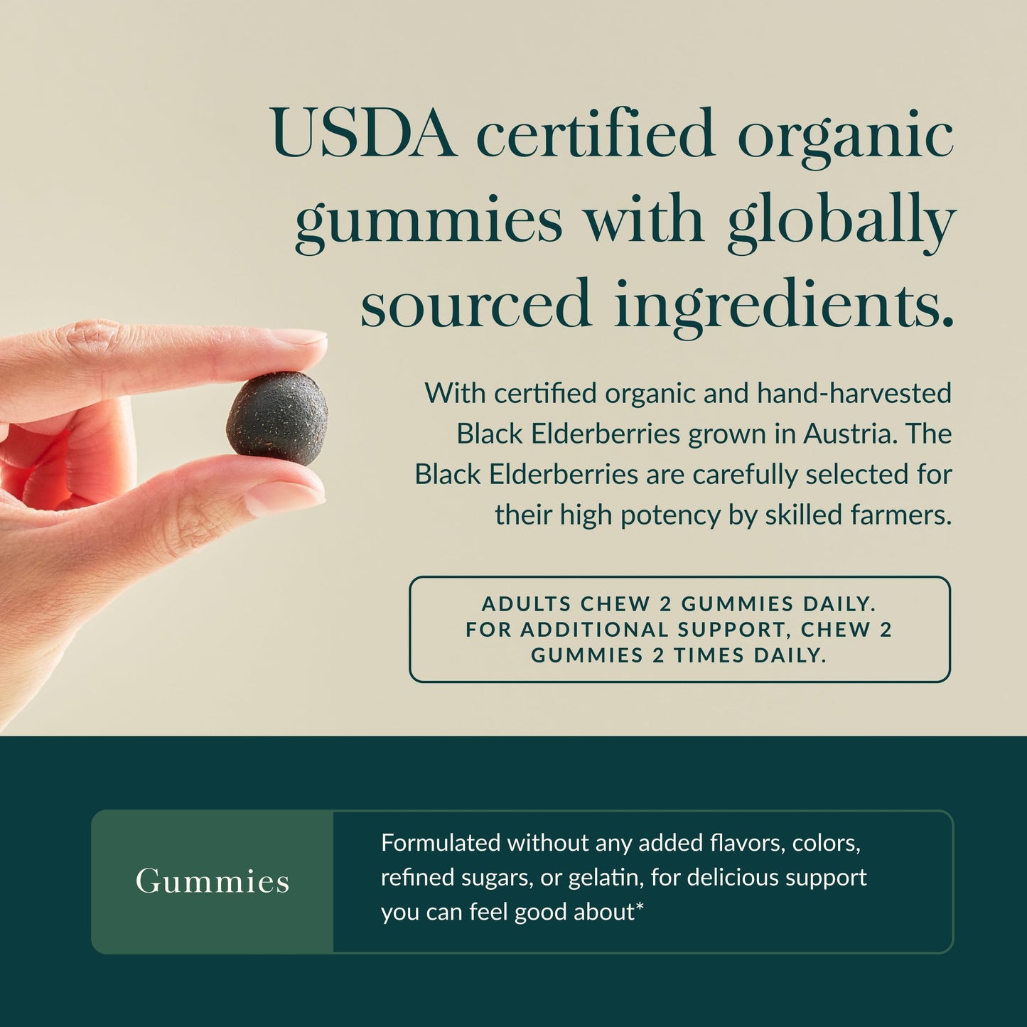 Gaia Herbs Black Elderberry (Sambucus nigra) Extra Strength Gummies, 40 Count