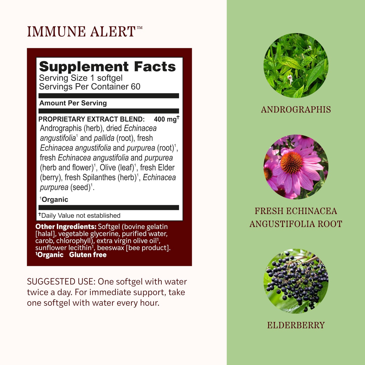 Herbs Etc. Immune Alert Softgels 60 Softgels
