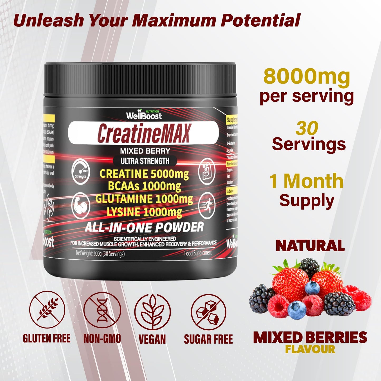 WellBoost CreatineMAX Powder 300g