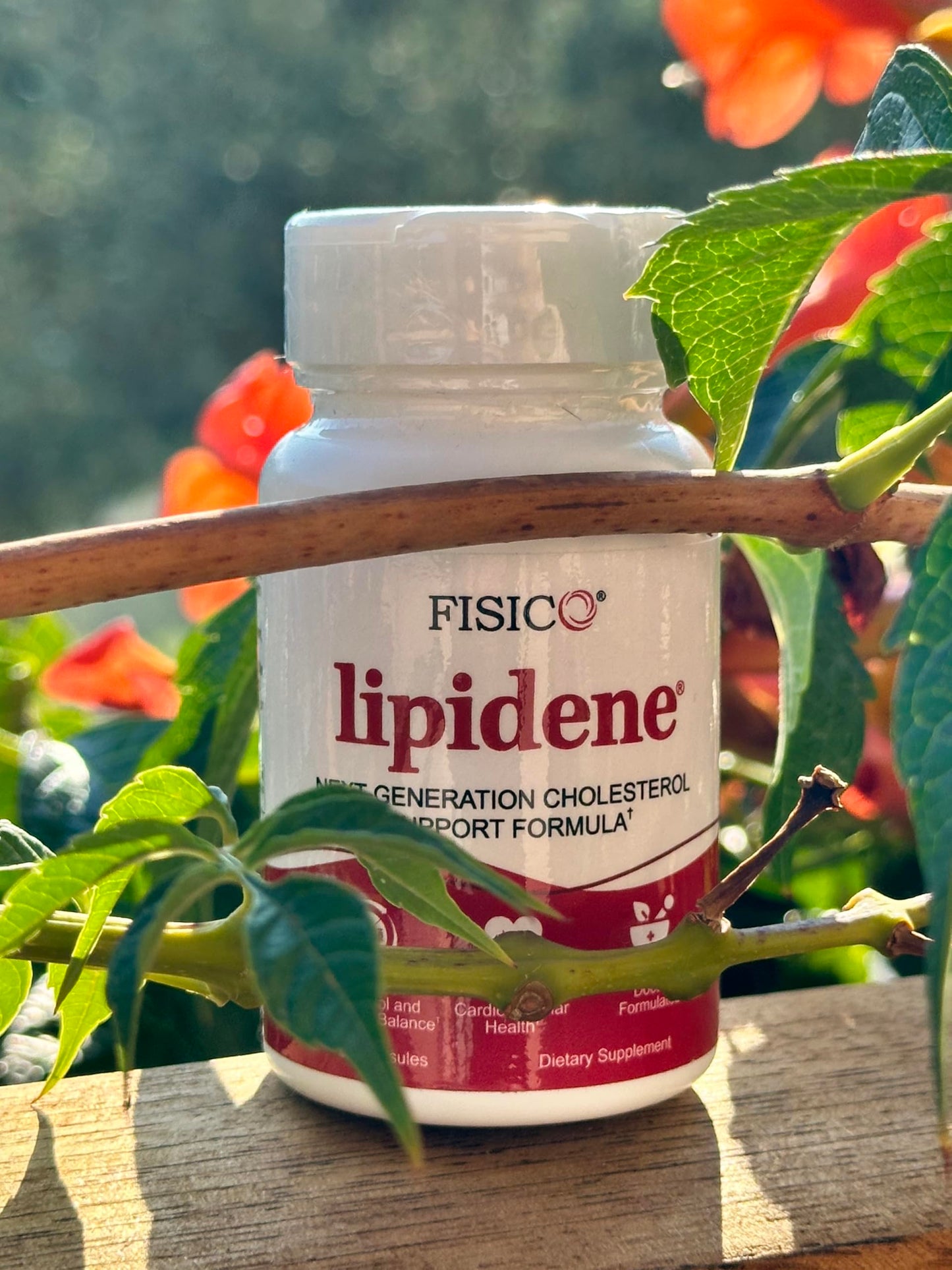 LIPIDENE Cholesterol Support & Heart Health Supplement – Lipid Balance, Cardiovascular Function, Heart Health, Circulation and Arterial Wellness, 30 Capsules