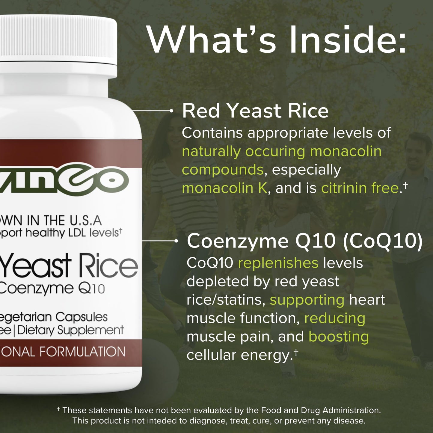 Vinco Red Yeast Rice with Coenzyme Q10 Dietary Supplement Capsules, 120 Count