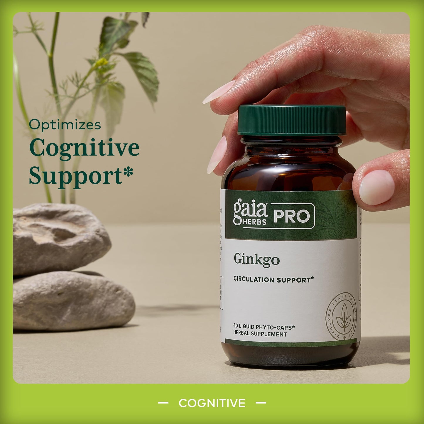 Gaia Herbs PRO Ginkgo Biloba Capsules, 60 Count