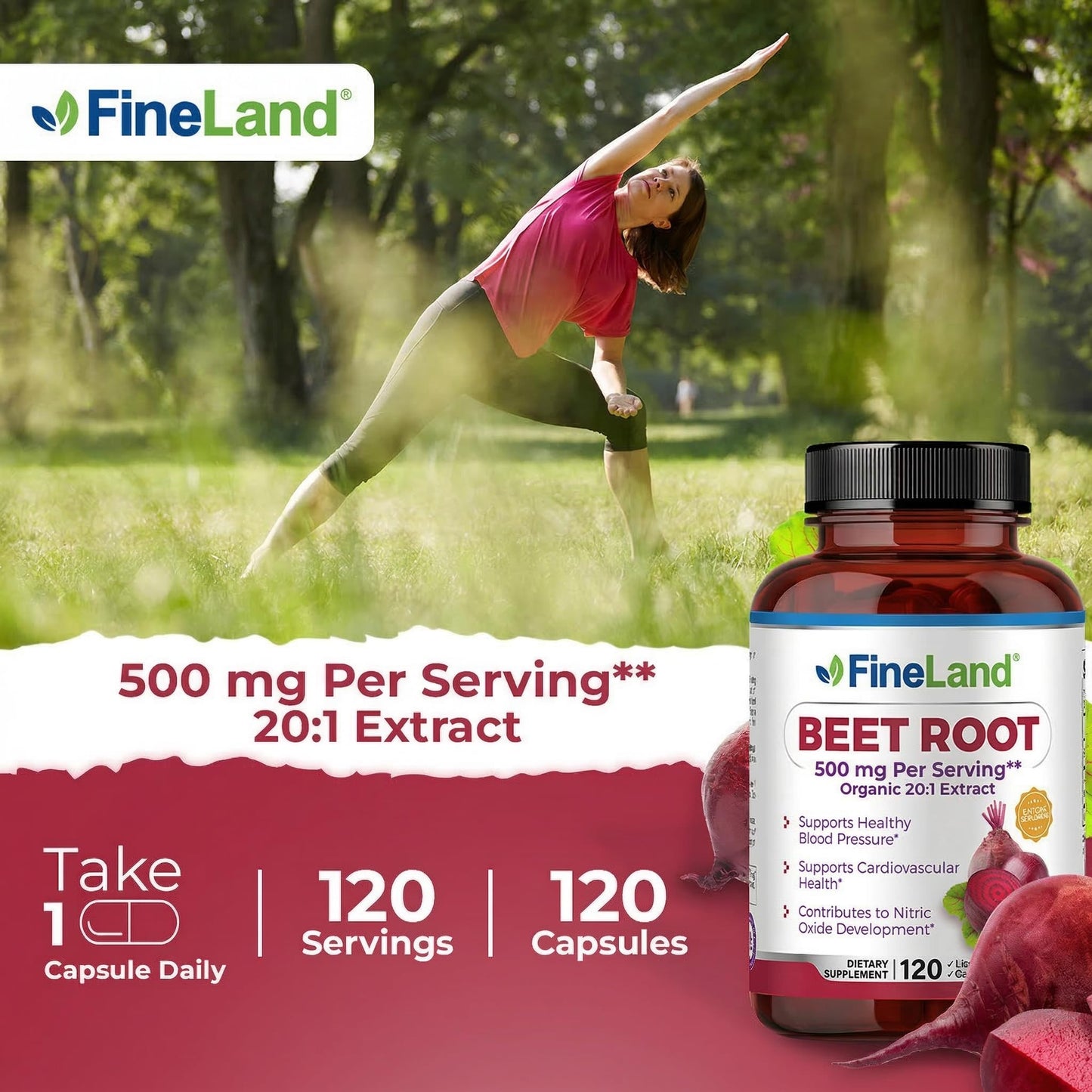 FineLand Beet Root Capsules 20:1 Extract, 120 Capsules