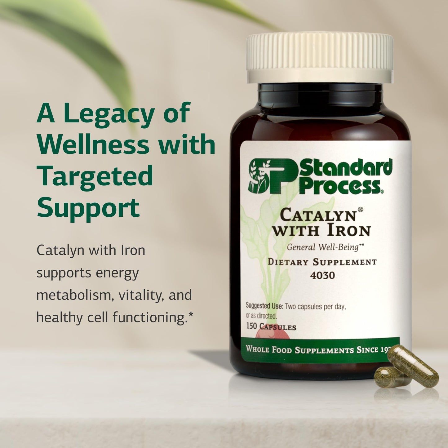 Standard Process Inc. Catalyn with Iron 150 Capsules