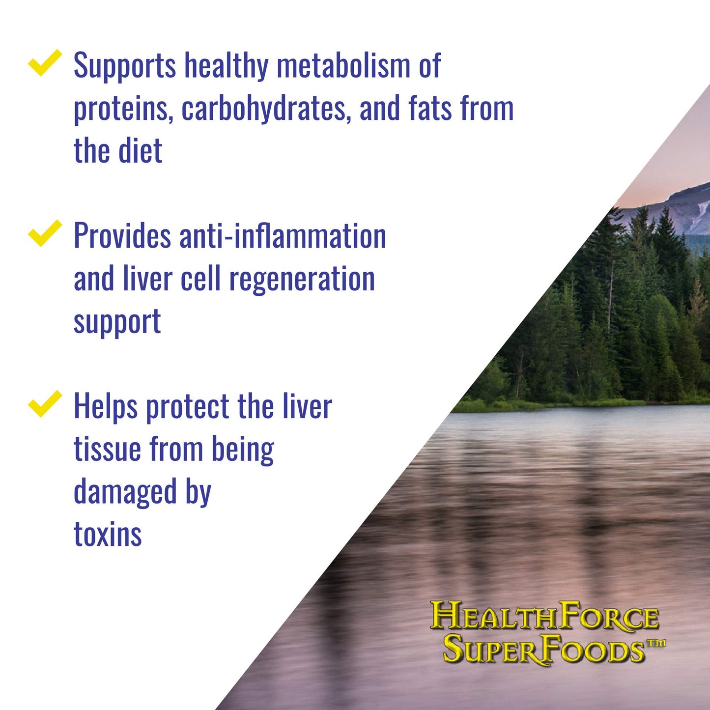 HealthForce SuperFoods Liver Rescue Capsules 240