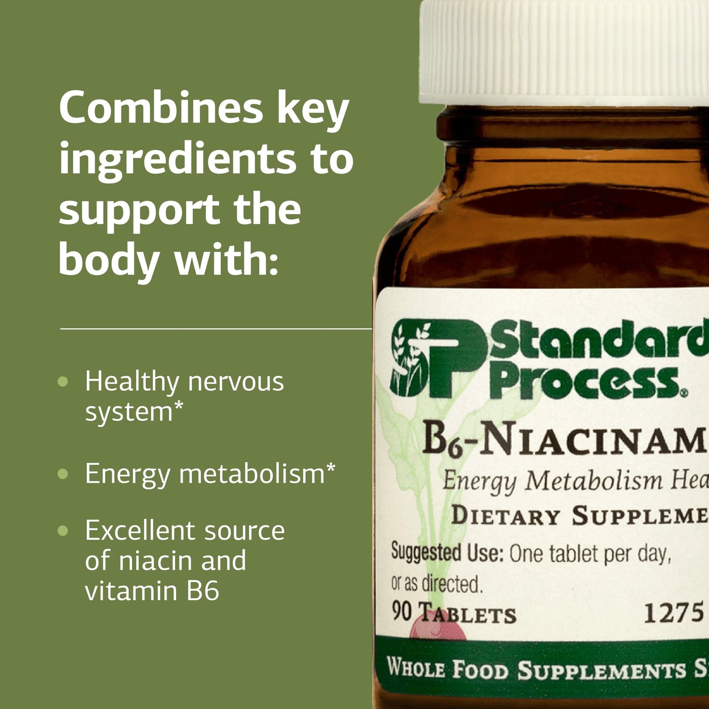 Standard Process Inc. B6-Niacinamide Tablet, 90 Tablets
