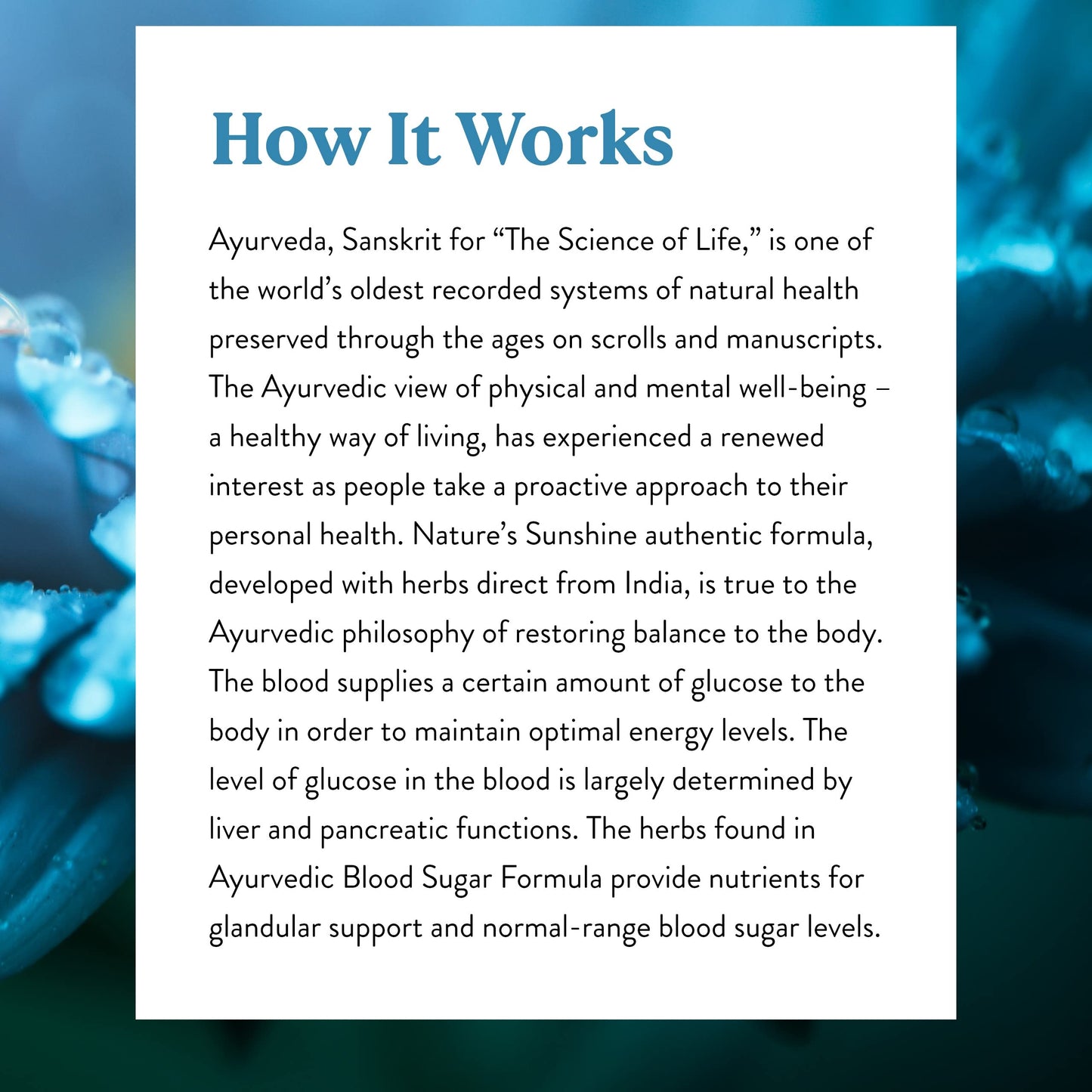 Nature's Sunshine Blood Sugar Formula Capsule 100