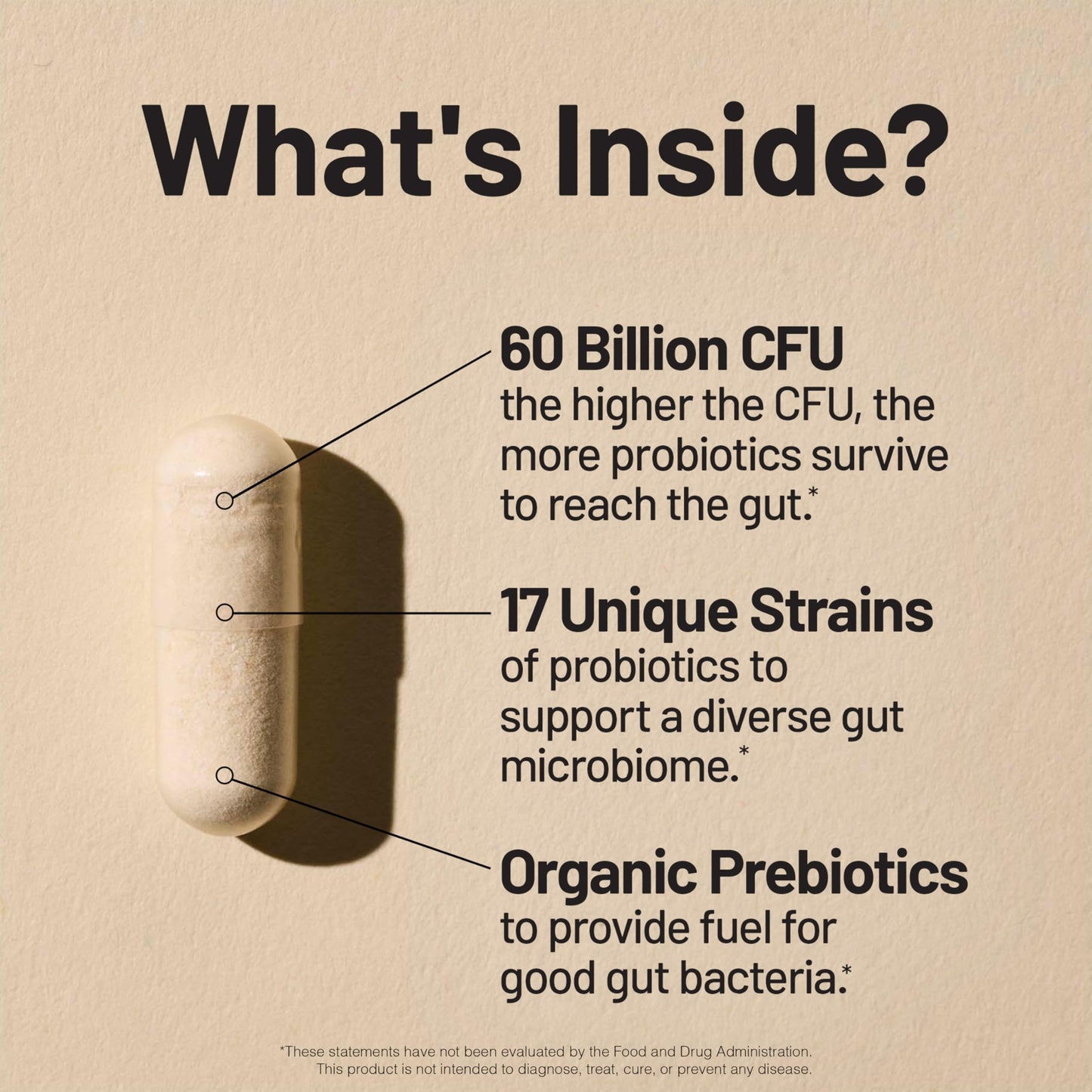 NatureWise Probiotics 60 Billion CFU - 17 Strains + Organic Prebiotics - Immune, Digestive & Gut Health Support for Women & Men - Vegetarian, Gluten-Free, Non-GMO - 60 Capsules
