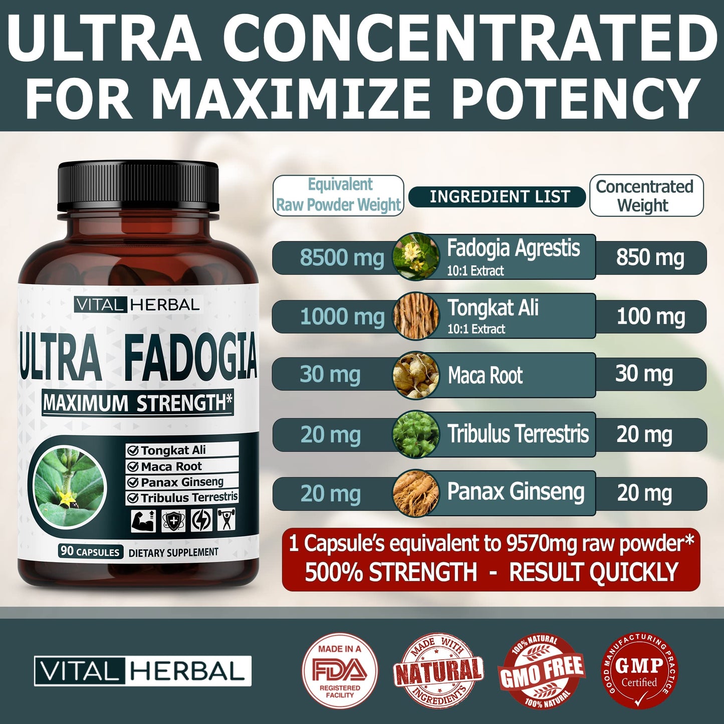 VITAL HERBAL Fadogia Agrestis with Tongkat Ali Capsules for Maximum Strength with Ginseng Maca Root Tribulus - Boost Energy & Muscle Builder, 90 Count
