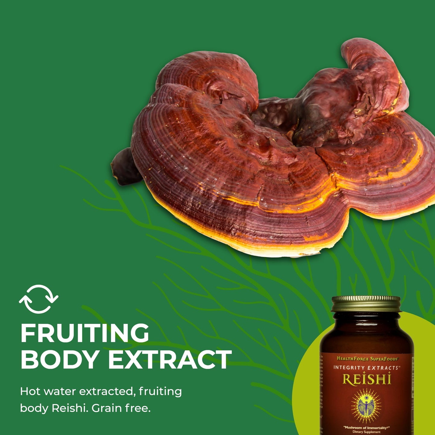 HEALTHFORCE SUPERFOODS Integrity Extracts Reishi Powder 2.2928
