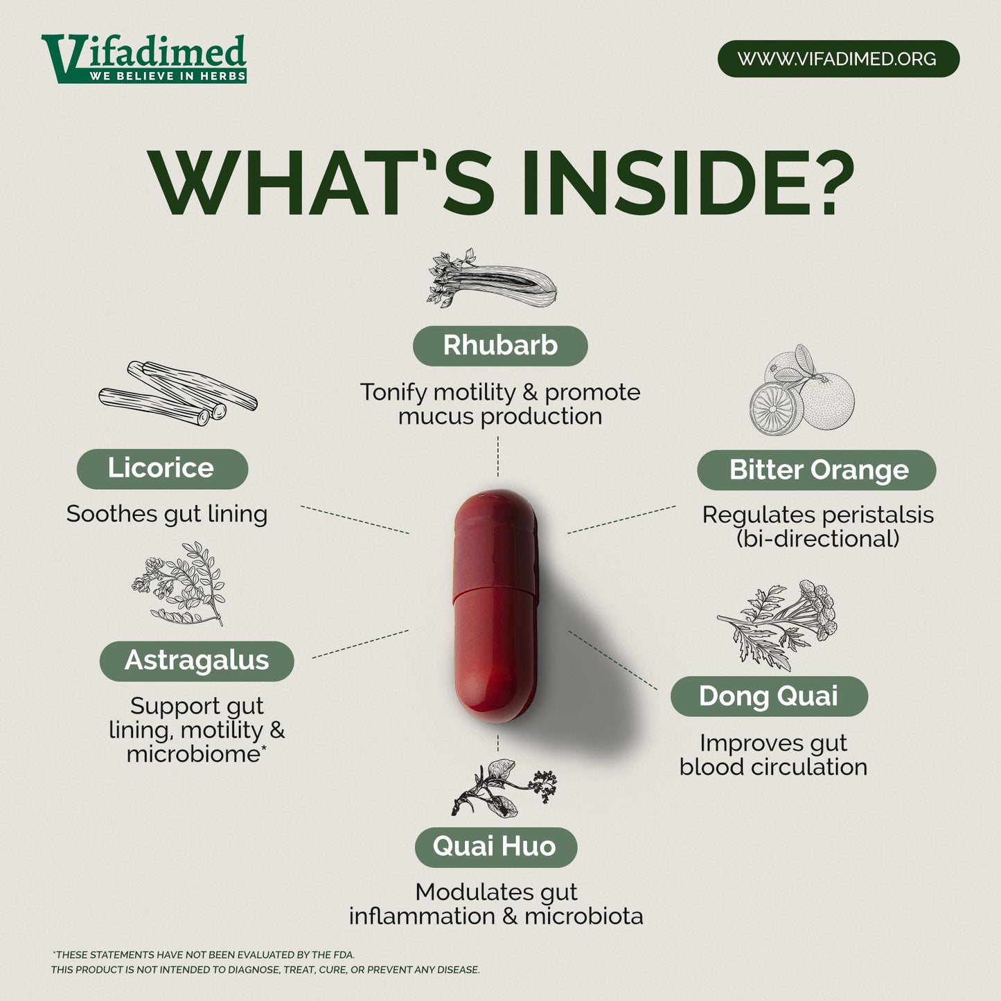 VIFADIMED Smooth Move Bundle for IBS Constipation Support, Gut Motility for Bowel Movement and Regularity, Bloating & Gas Relief, Mucus Production Assist, Lining & Microbiome Support, 180 Capsules
