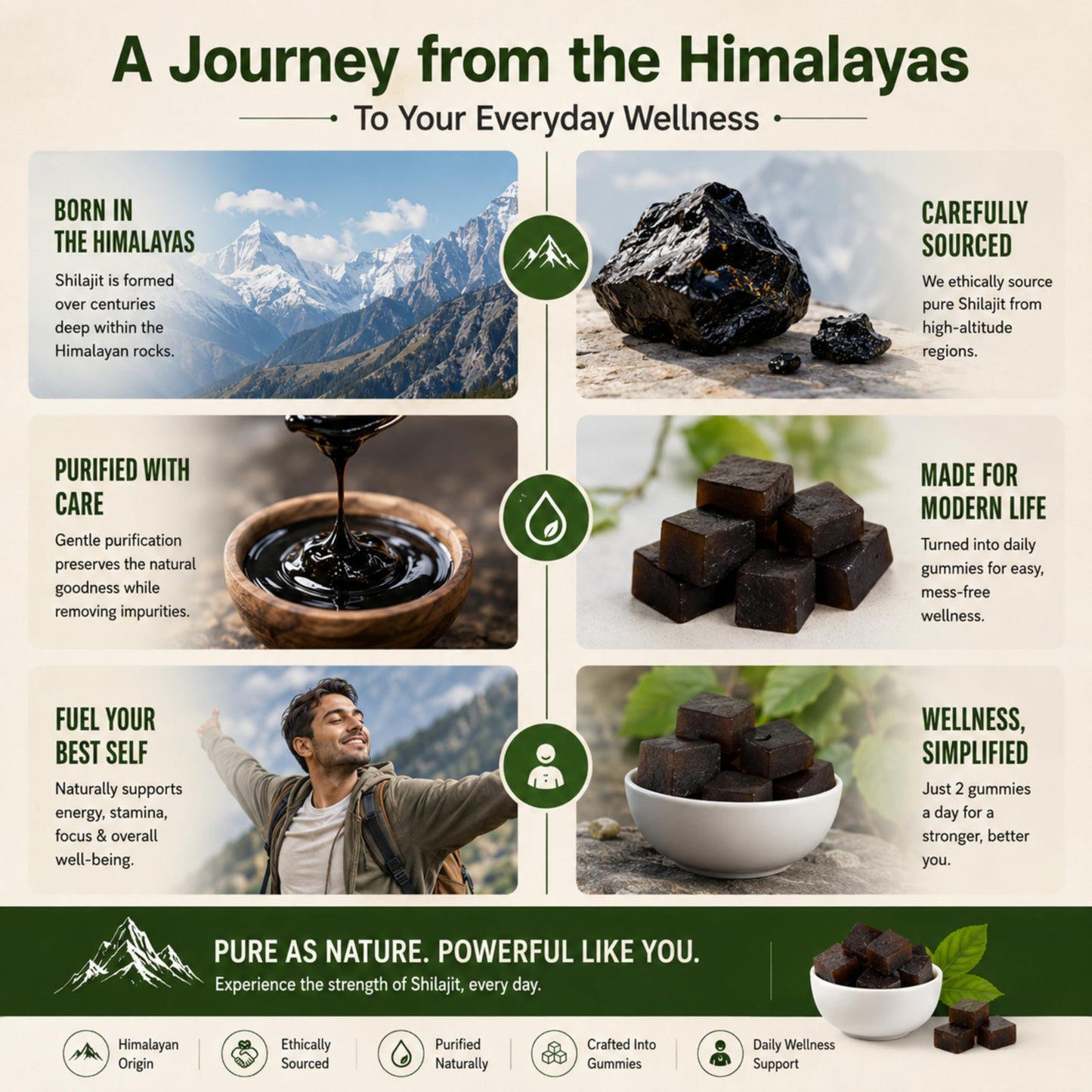 Trisundi Himalayan Shilajit Gold Gummies 3000mg, 60 Count