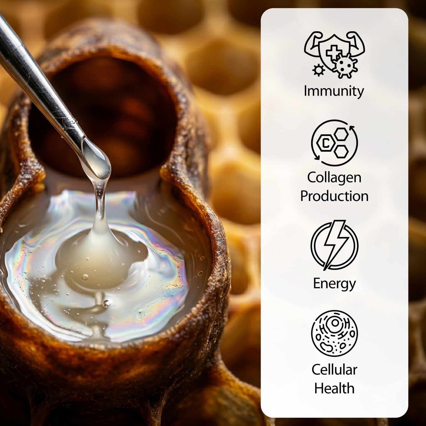 Regina Premium Fresh Royal Jelly 200mg Organic 6% 10-HDA Capsules 90 Count