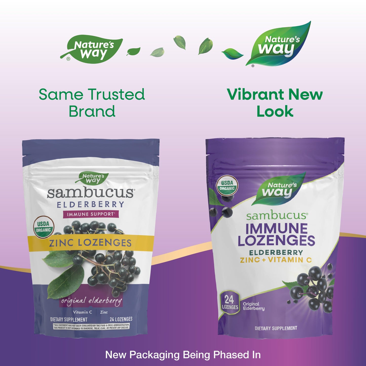Nature's Way Organic Sambucus Lozenge, Elderberry and Zinc 72 Tablets