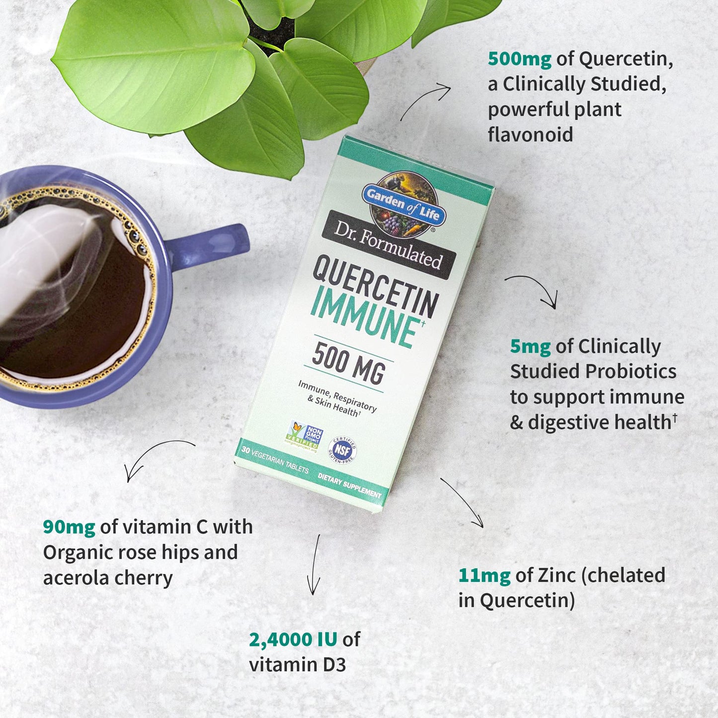 Garden of Life Quercetin Once Daily Immune System Support Supplement with Vitamin C, D & Probiotics – Dr Formulated – Immune Health, Respiratory and Skin Health, Gluten Free, Non GMO – 30 Tablets