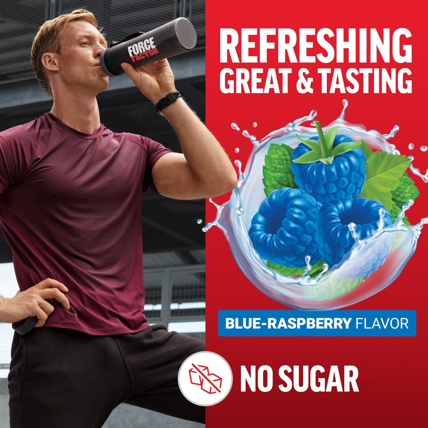 Force Factor Creatine Monohydrate Powder, 5g Micronized Dose, Blue Raspberry, 100 Servings