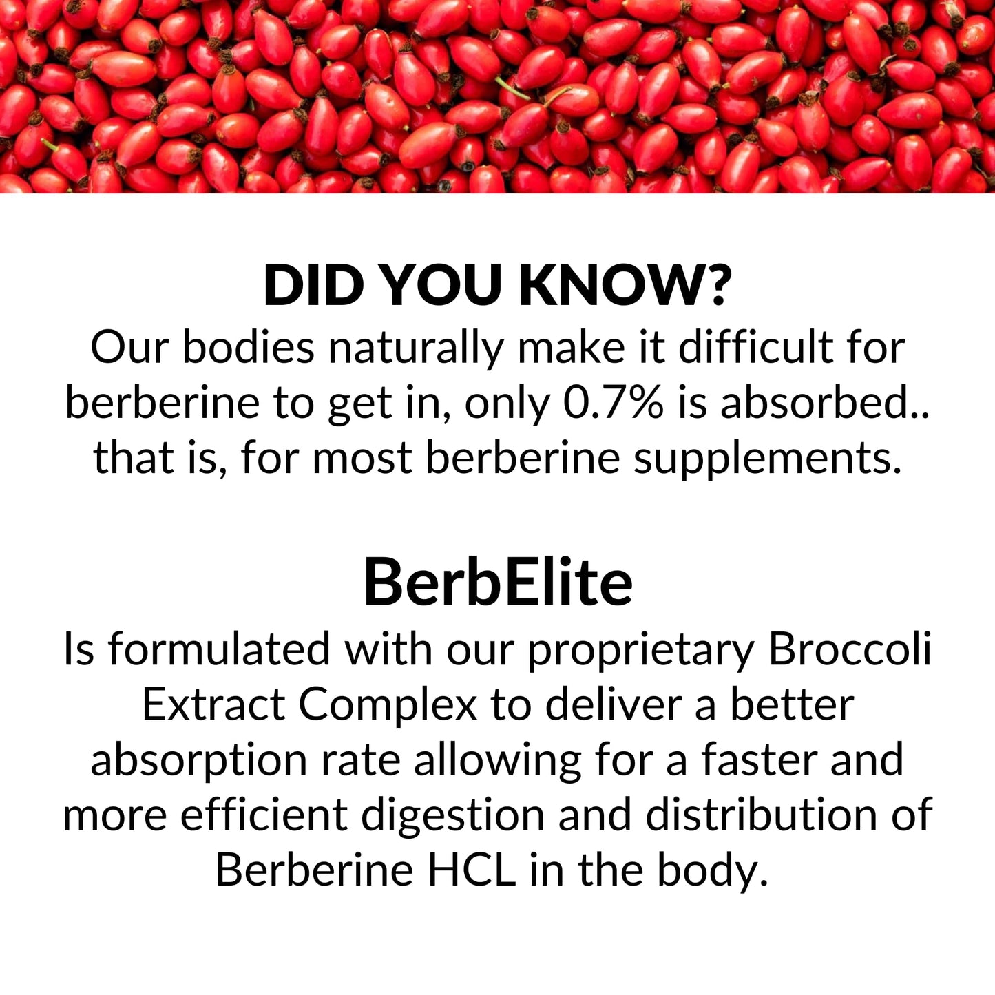 BrocElite BerbElite 350mg Berberine HCl & Broccoli Seed Complex Capsules, 120 Count