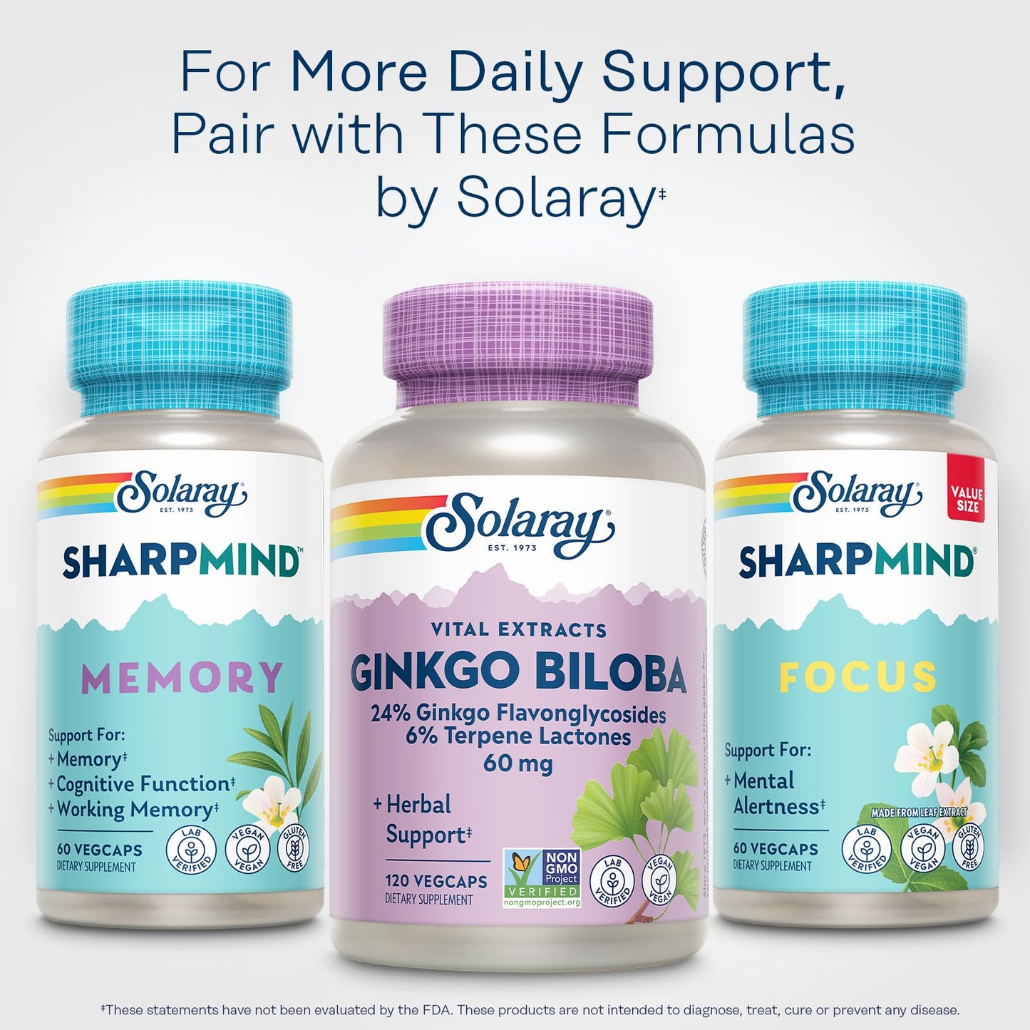 SOLARAY Ginkgo Biloba Extract Capsules 120 Count