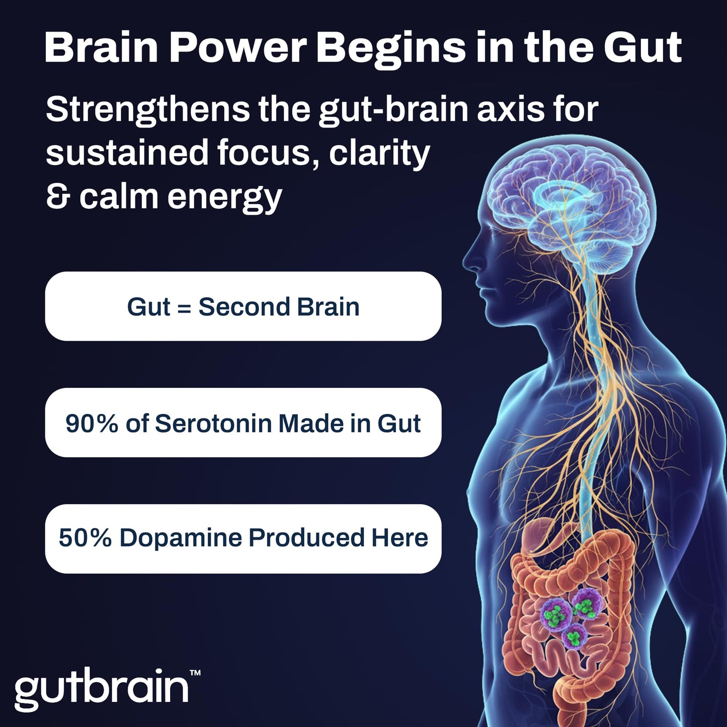 Purity Labs GutBrain Brain Supplement for Memory and Focus with Probiotics, Advanced 2-in-1 Nootropic Brain Support for Mental Clarity, Caffeine Free Doctor Formulated, 60 Capsules