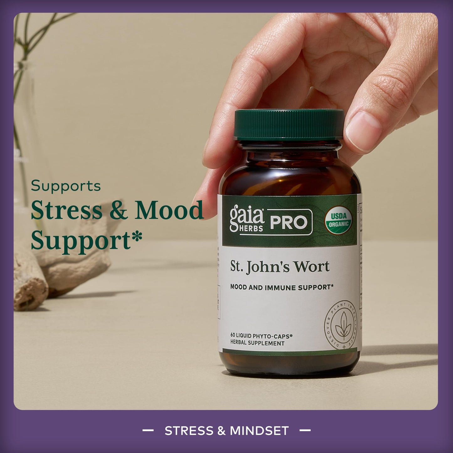 Gaia Herbs PRO St. John's Wort Capsules 60 Count