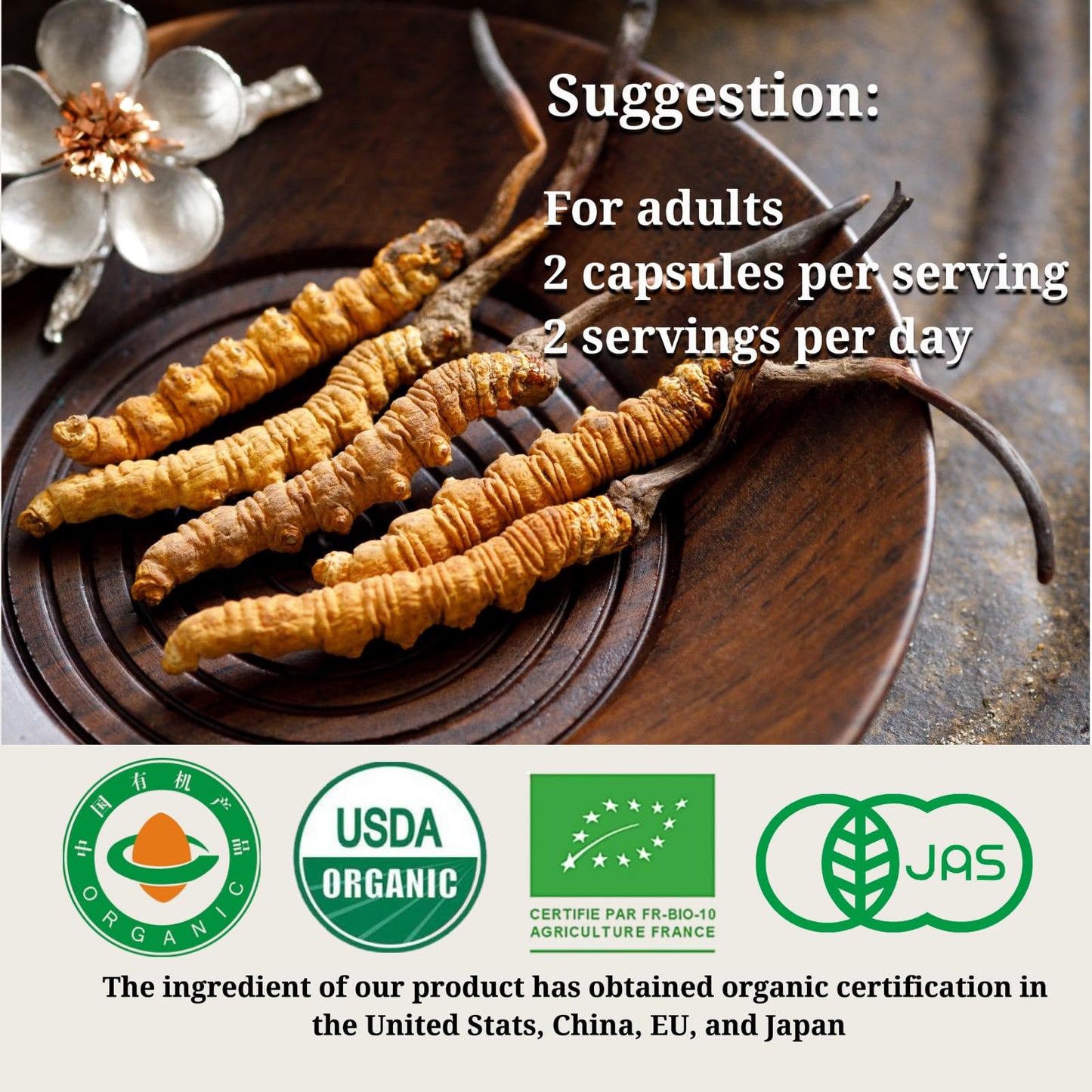 Generic Cordyceps Sinensis Capsules 60 Capsules