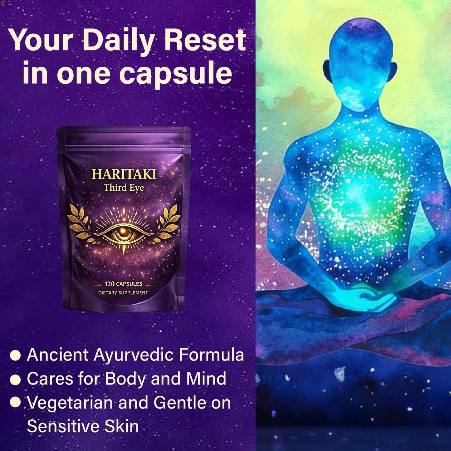 Osdywer Haritaki Capsules 120 Capsules