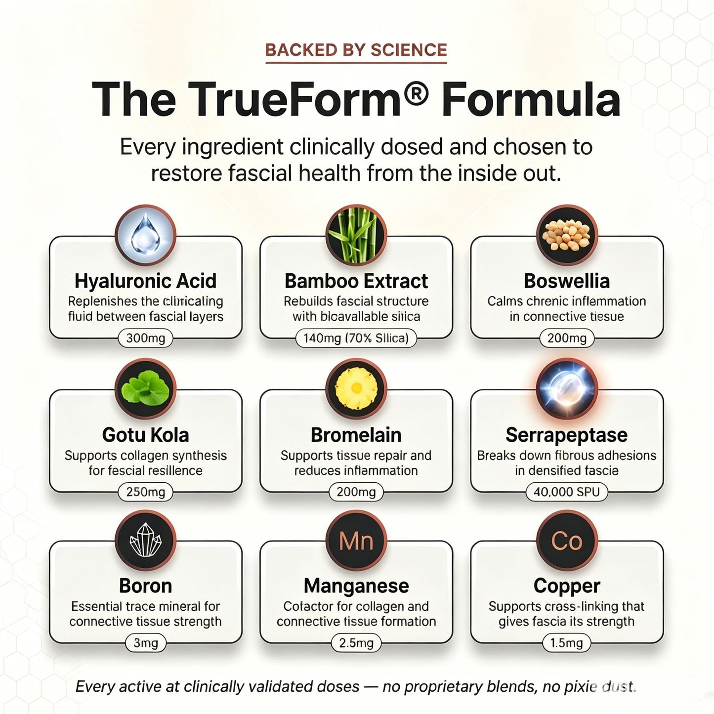 Ella ola kids Trueform Fascial Release Supplement Capsule 60 Count