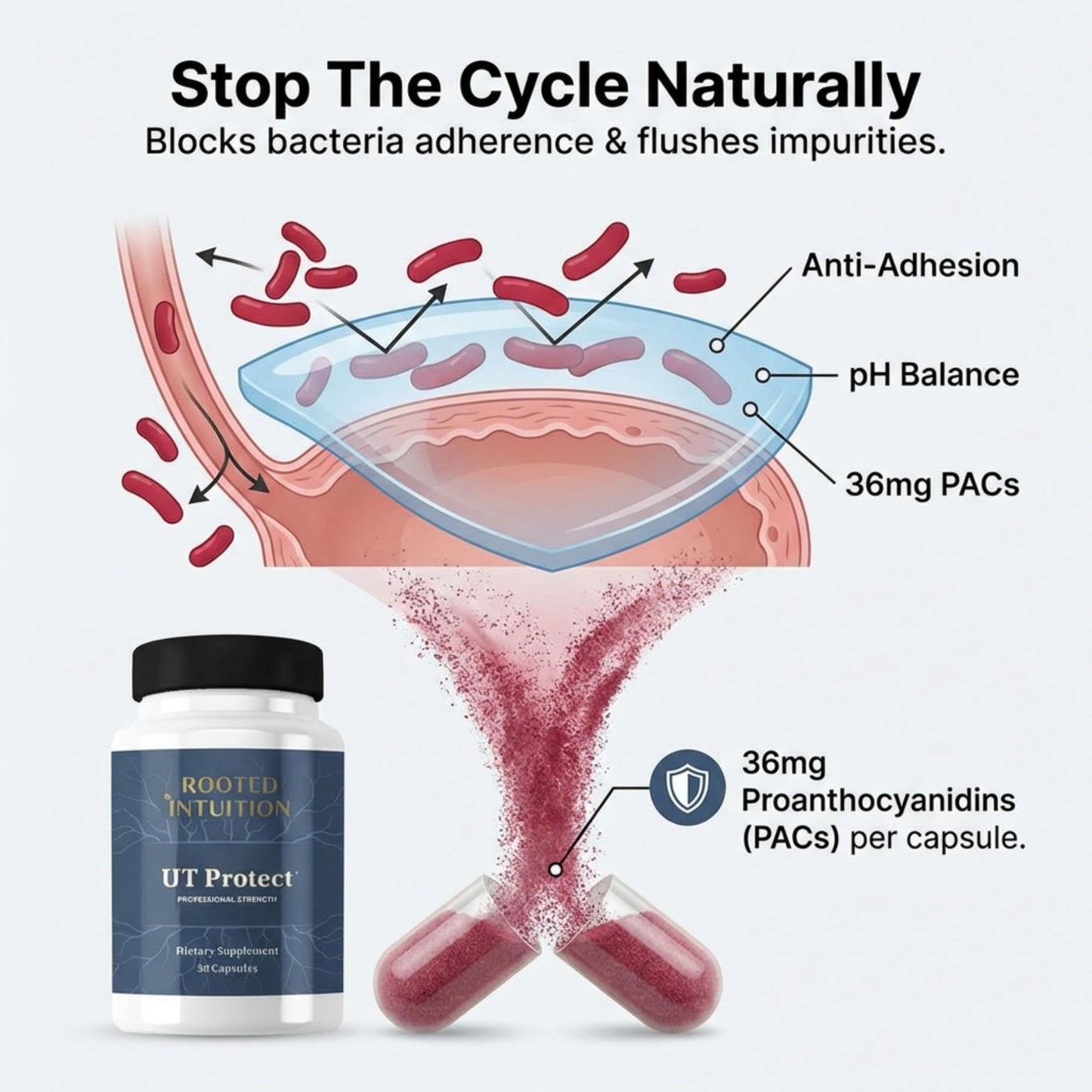 Rooted Intuition UT Protect Capsules 30