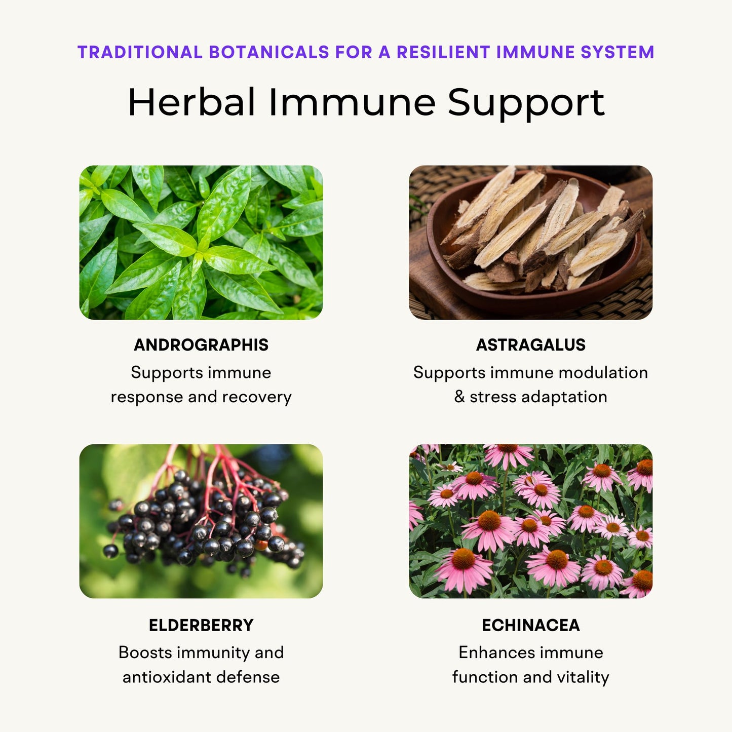 VitaminIQ Immune Support Supplement with Vitamin C and Zinc, Sambucus Elderberry, Vitamin D3, Glutathione, Echinacea 60 Capsules