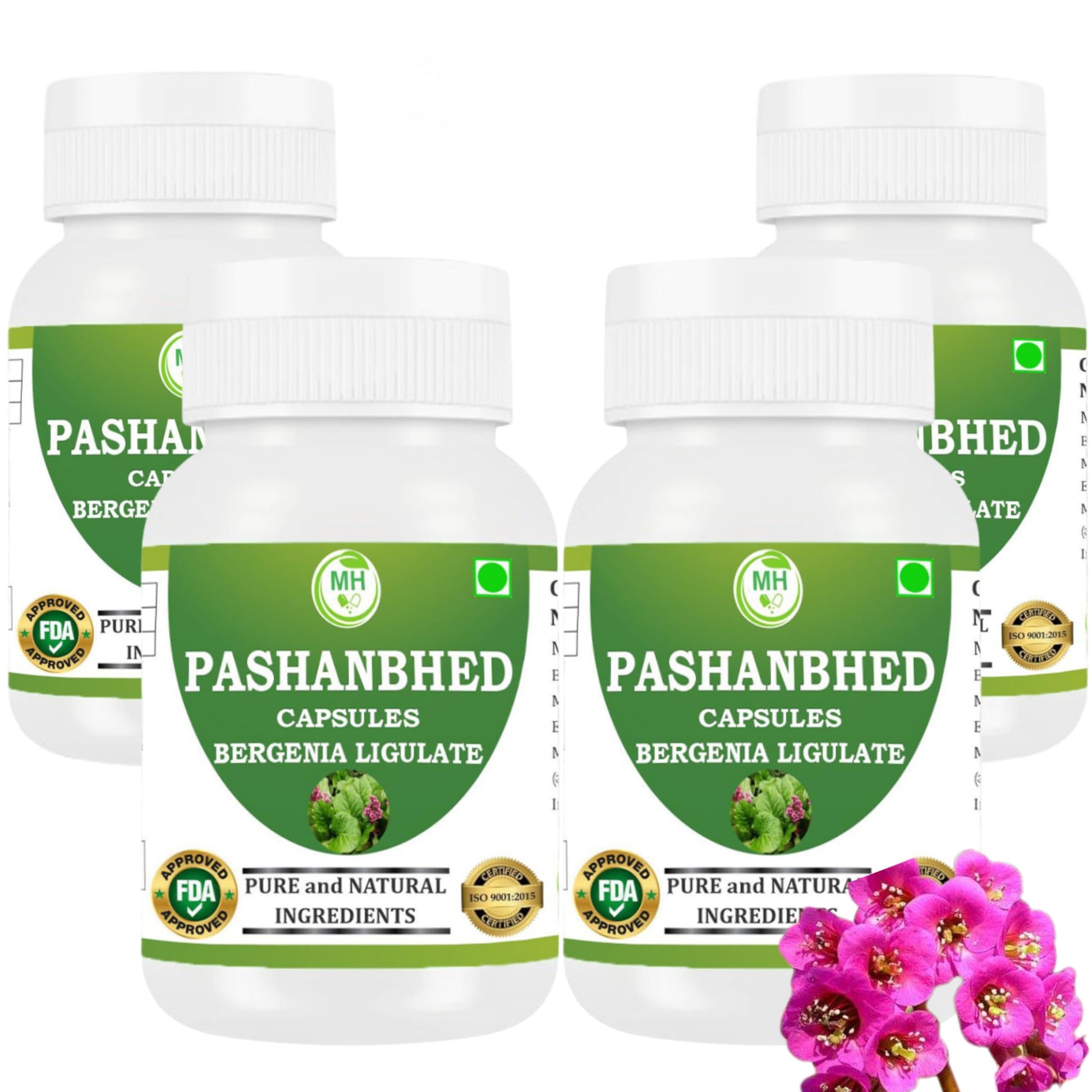 Morsan Healthcare Pashanabheda (Bergenia ligulata) Powder Capsules 240 Veg Capsules