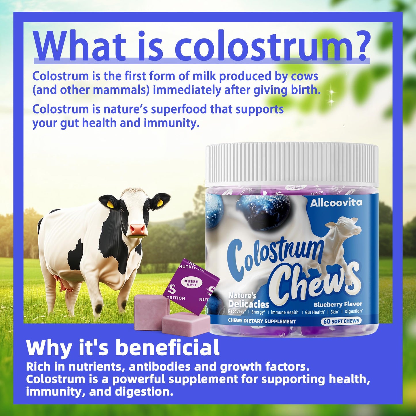 Allcoovita Bovine Colostrum Soft Chews, 60 Servings