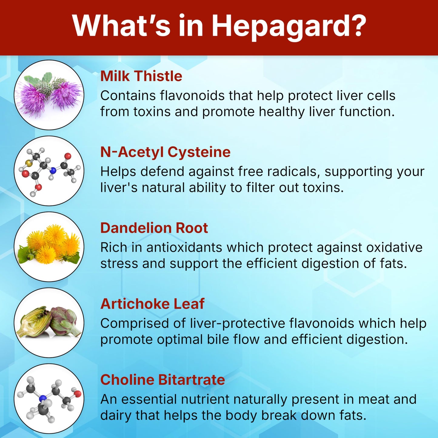 Hepagard Natural Liver Support Supplement with N-Acetyl Cysteine (NAC) Capsule, 30 Count