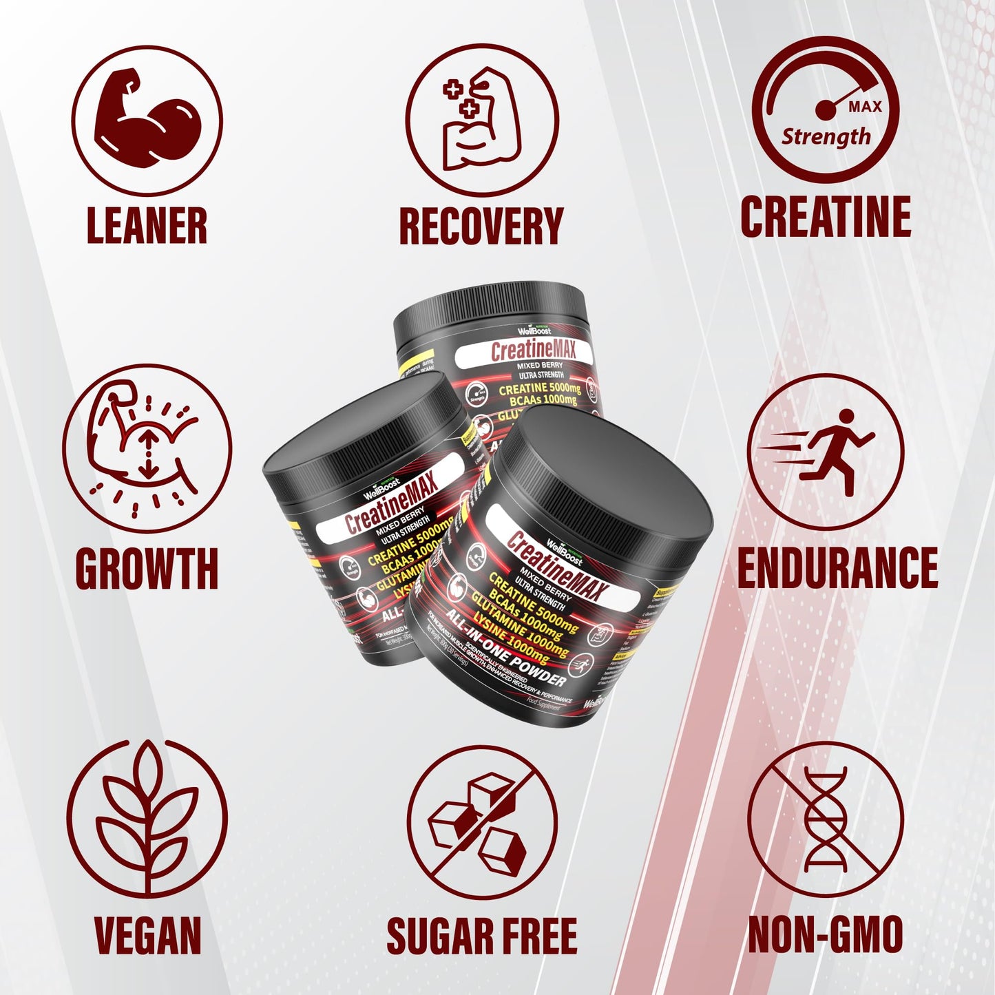 WellBoost CreatineMAX Powder 300g