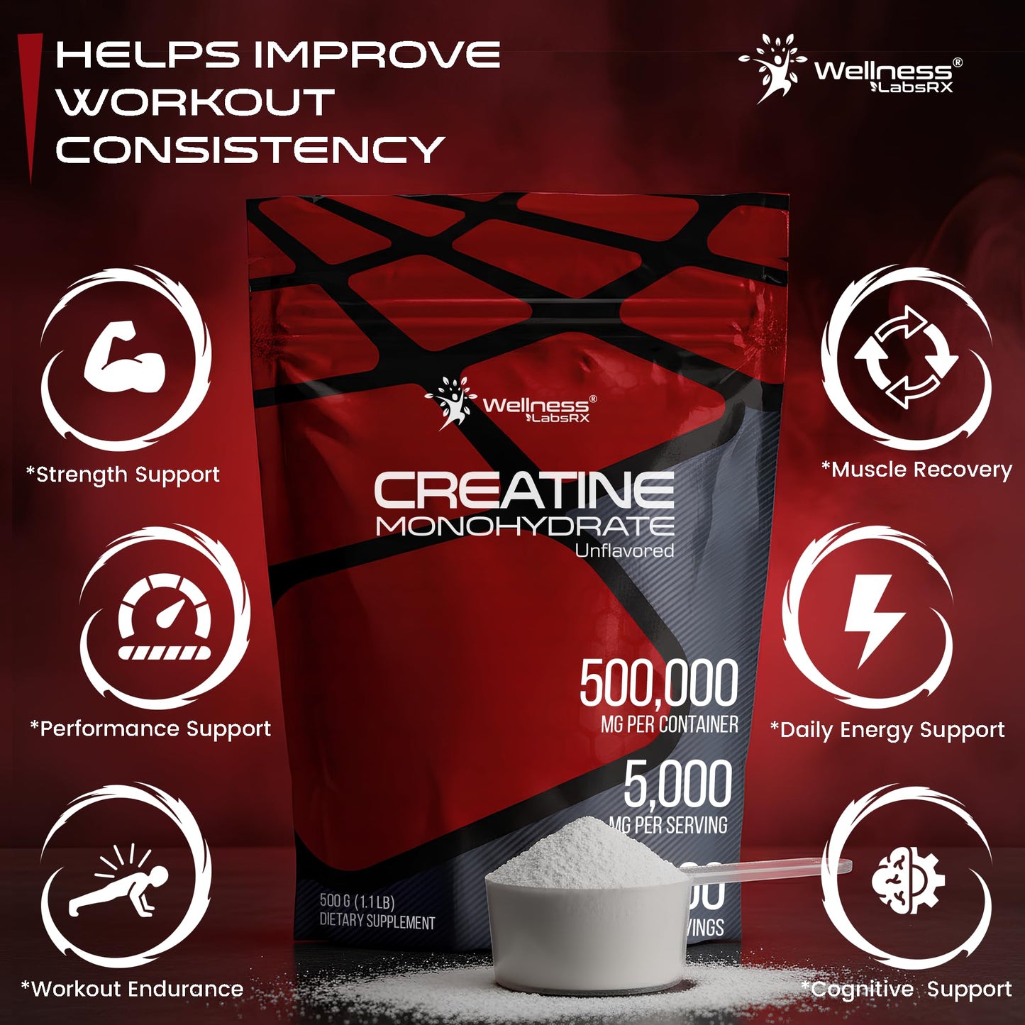 WELLNESS LABSRX Creatine Monohydrate Powder, 100 Servings