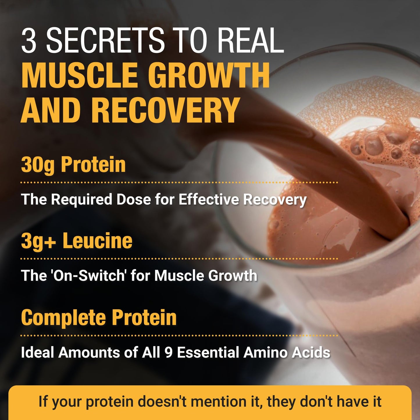 RISE311 Plant-Based Protein Powder for Men and Women Pouch 23 Servings
