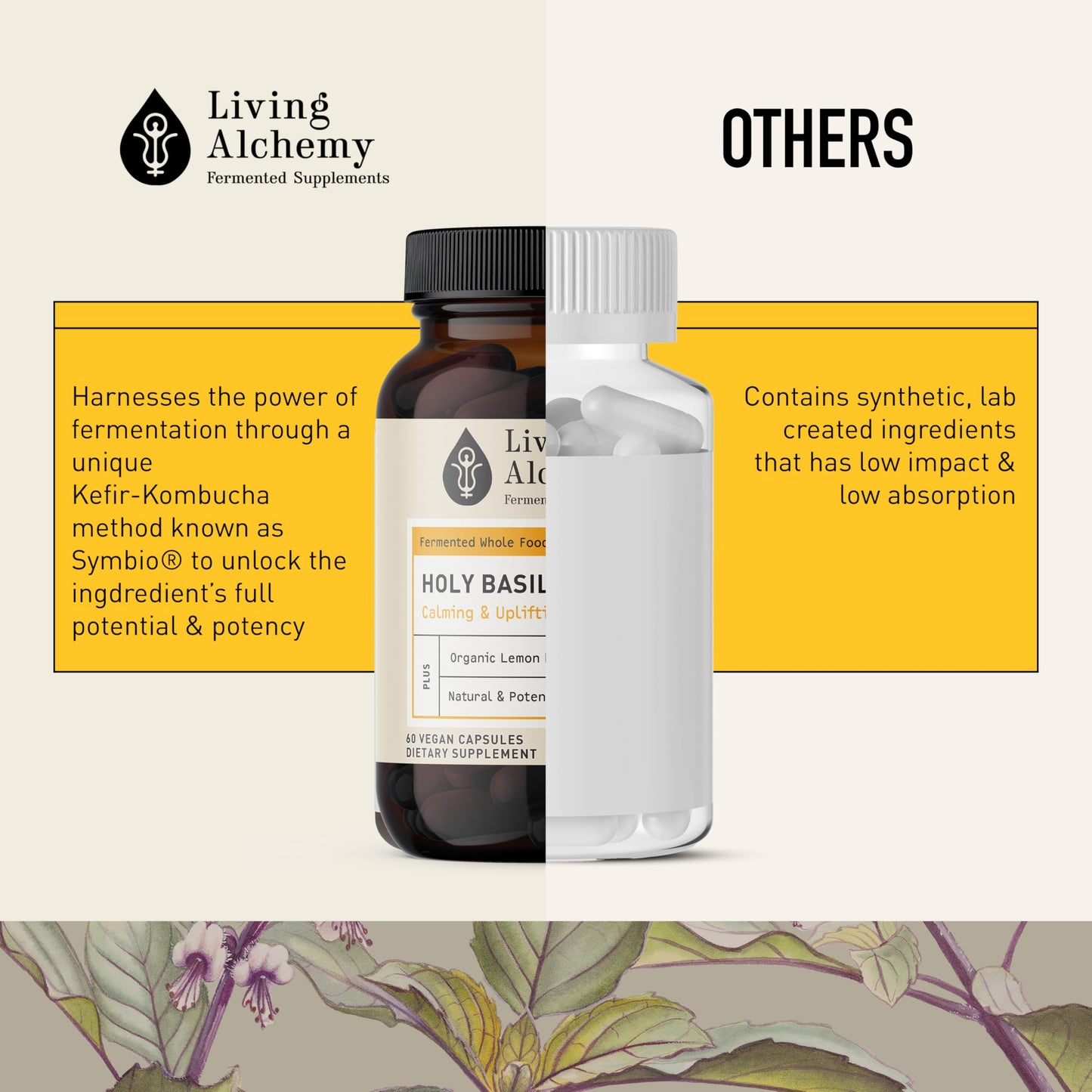 Living Alchemy Holy Basil Supplements - Fermented Holy Basil with Natural Lemon Balm - Daily Supplements for Women & Men - Vegan, Non-GMO Powder, 60