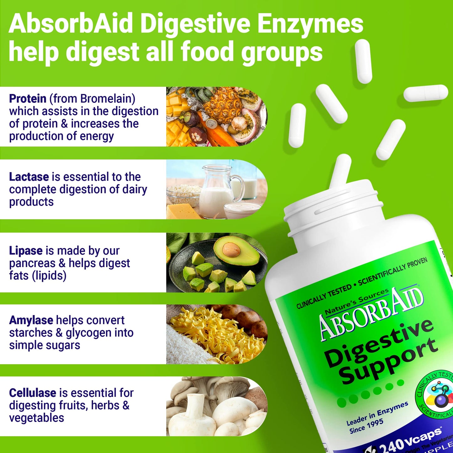 AbsorbAid Digestive Enzymes Capsules 240